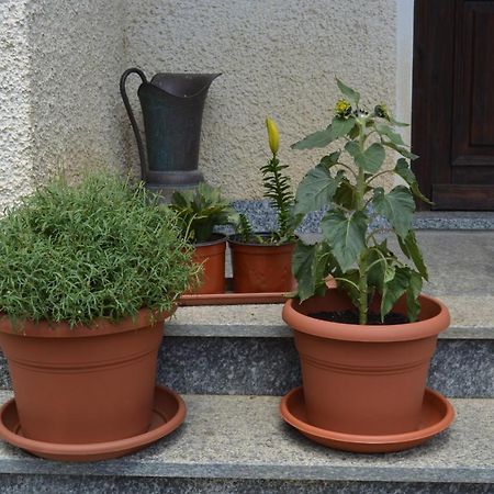 Da Fulvia Bed & Breakfast Ollano Bagian luar foto