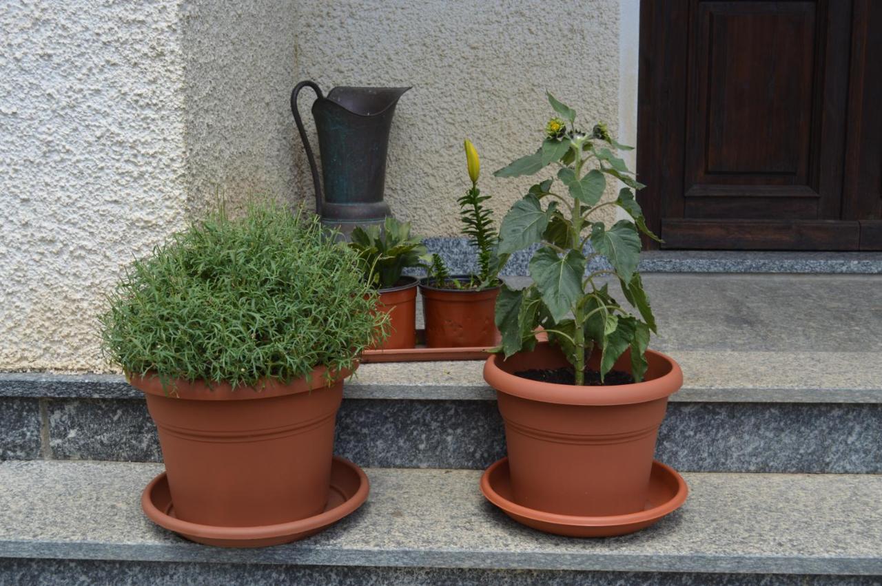 Da Fulvia Bed & Breakfast Ollano Bagian luar foto
